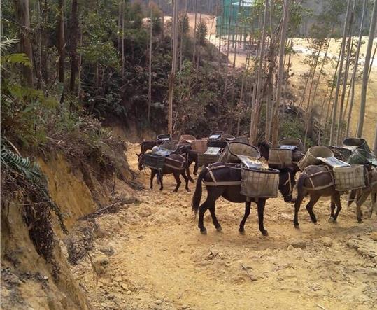 番禺区马帮山路运输