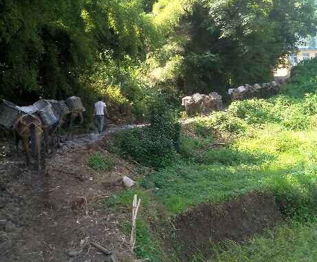 番禺区马帮运输队