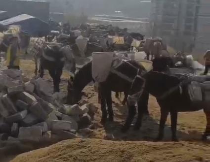 番禺区马队山路运输