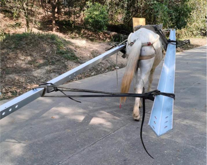 番禺区马队搬运