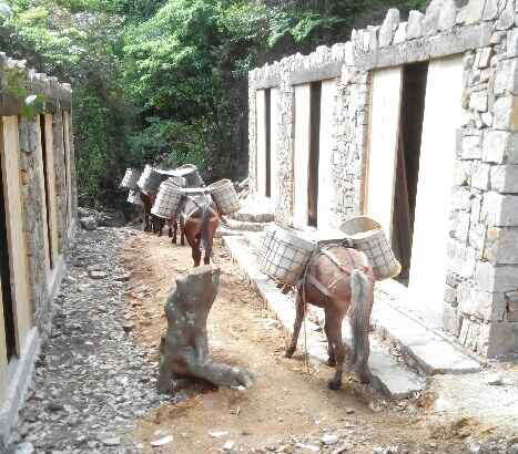 番禺区马队运输队