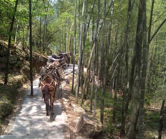 番禺区山路马队运输