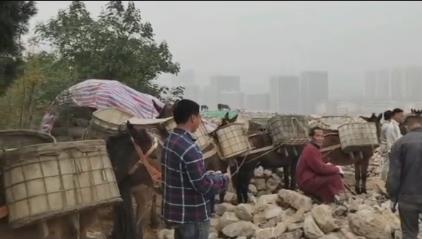 番禺区骡马山区运输