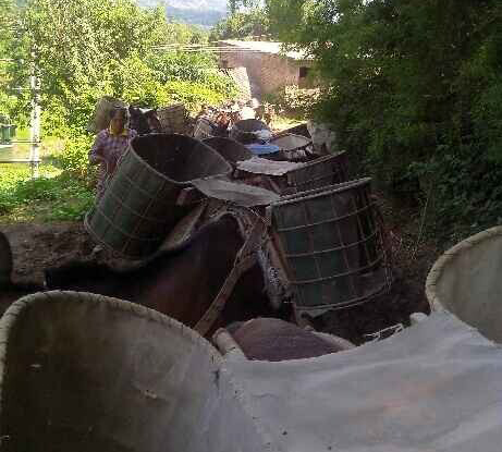 番禺区骡马运输队