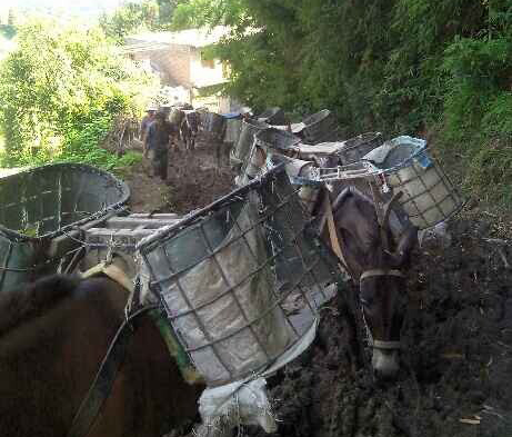 番禺区马帮搬运