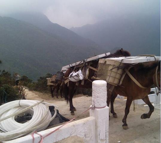 番禺区山区马帮运输